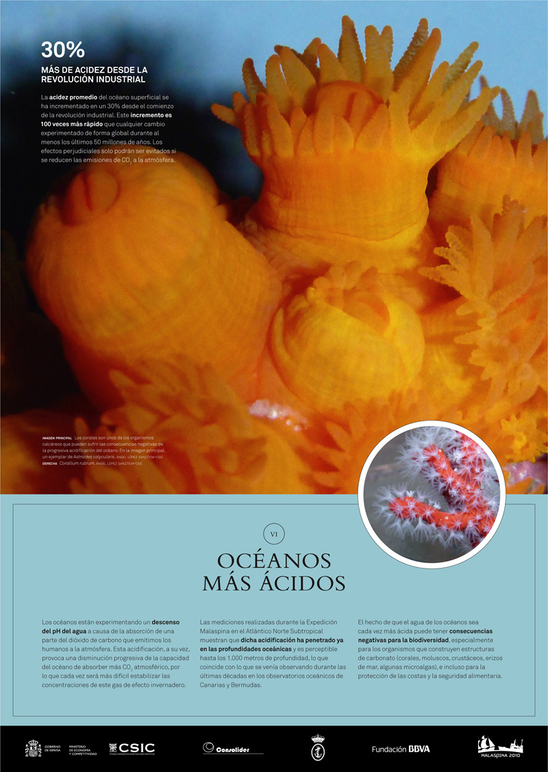 Un mar de datos panel 7