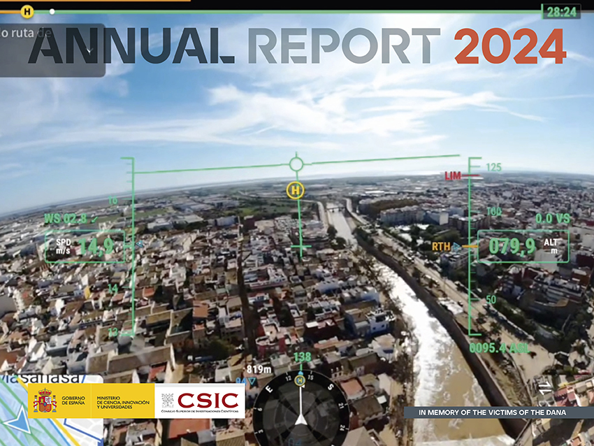 Annual report 2024