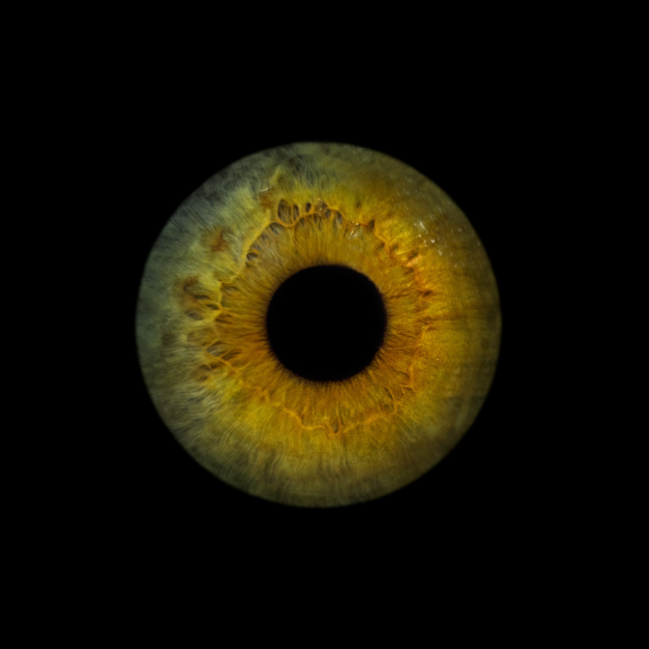 fotciencia eclipses exposicion 03