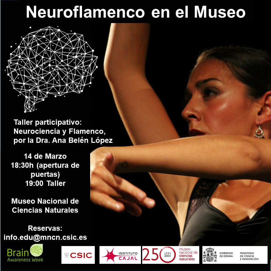 Cartel de la actividad Neuroflamento en el Museo, 14 de marzo en el MNCN-CSIC (Madrid)