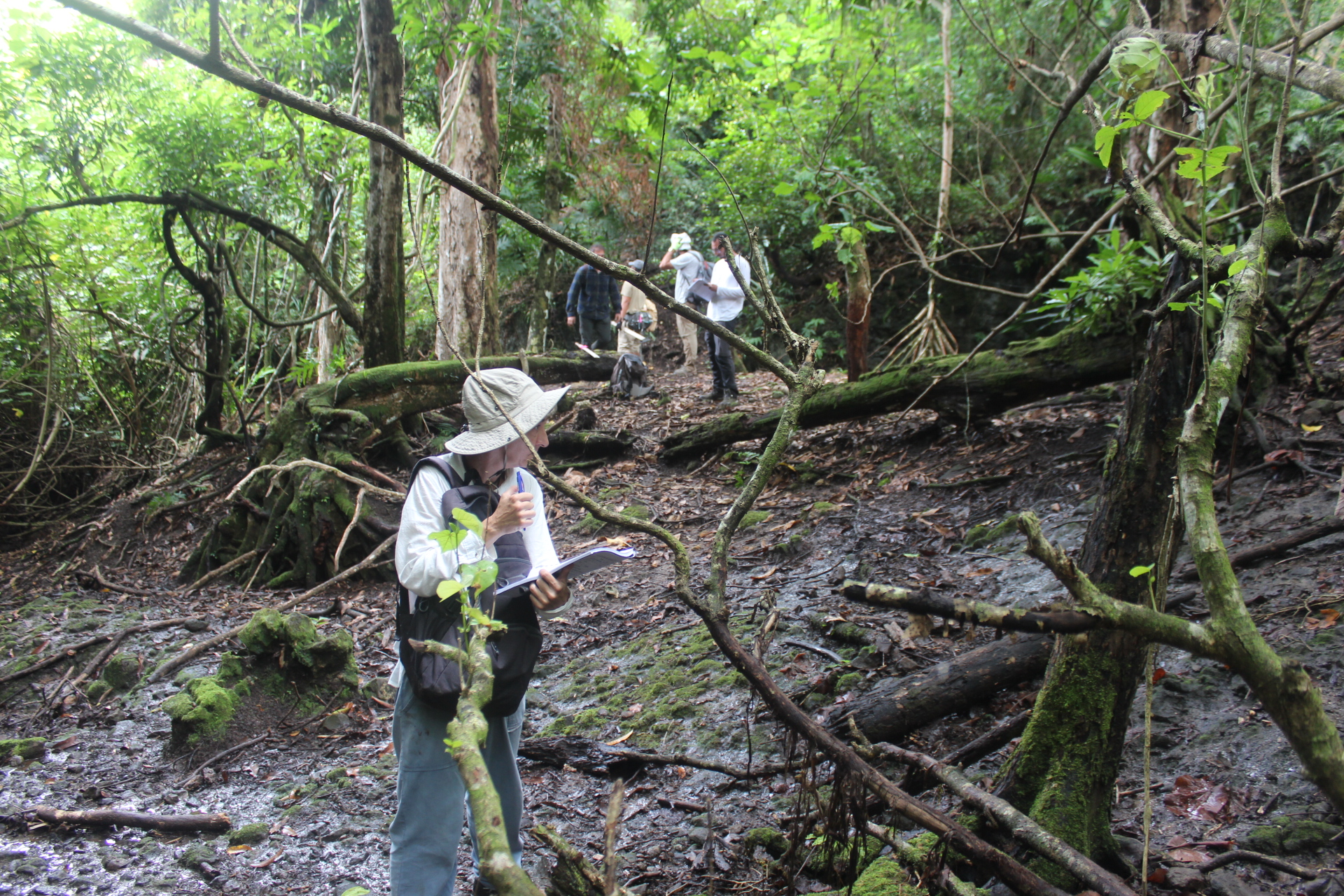 Yacimiento en Talakhsa, en la isla de Rota, perteneciente a las Marianas. / María Cruz Berrocal 
