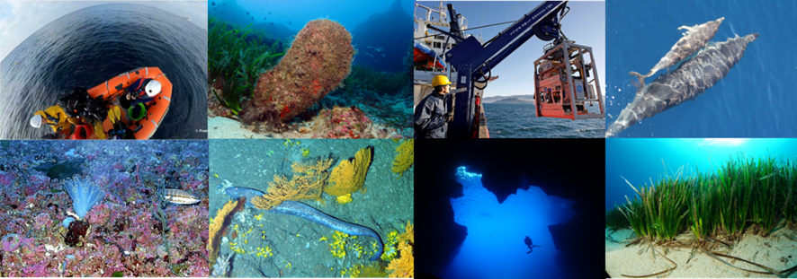 imágenes del proyecto en el océano