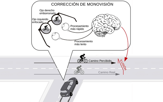 La corrección de la presbicia mediante monovisión puede hacer que la imagen percibida por cada ojo se procese a distinta velocidad y se altere la percepción de la distancia de objetos en movimiento / IO_CSIC